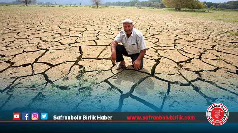 Selin ardından oluşan “mil kuraklığı” tarım alanı ve meraları etkiledi