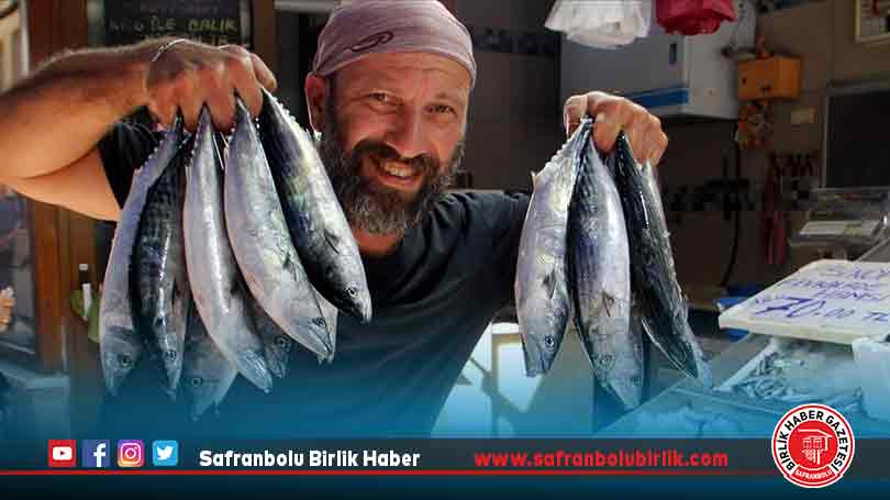 Karadeniz’de palamut ağlara takıldı