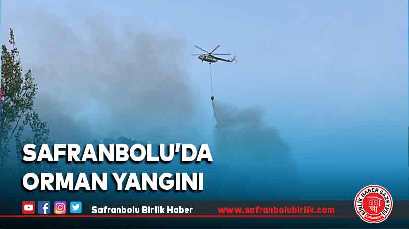 Safranbolu’da orman yangını