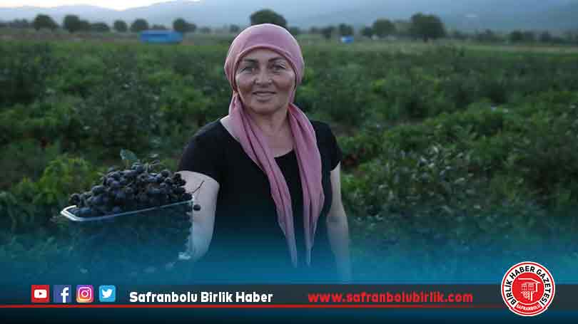 Kadın muhtar “süper meyve”yi köyüne kazandırdı