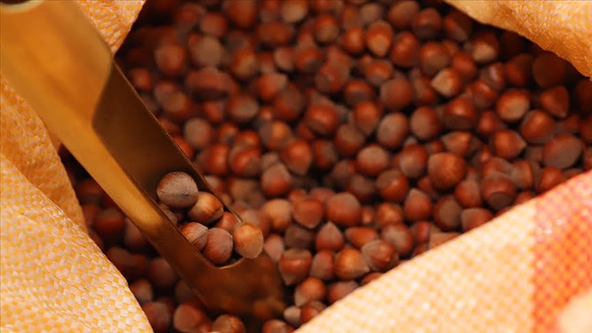 Türkiye’nin fındık ihracatı 1 milyar 795 milyon dolar olarak gerçekleşti