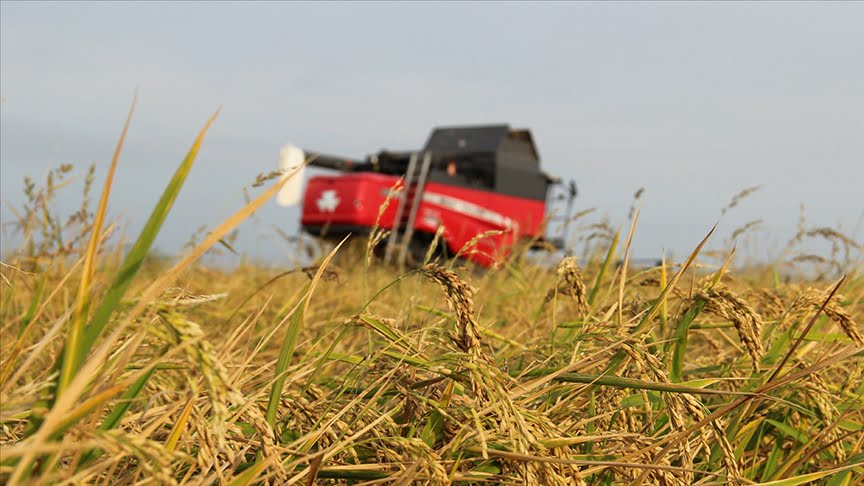 Tarımsal üretimde “sözleşmeli üretim yönetim sistemi” kurulacak
