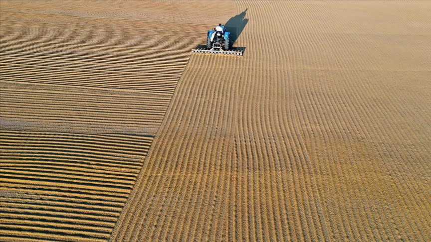 Türkiye’den 8 ayda 85 milyon 386 bin dolarlık bulgur ihracatı yapıldı