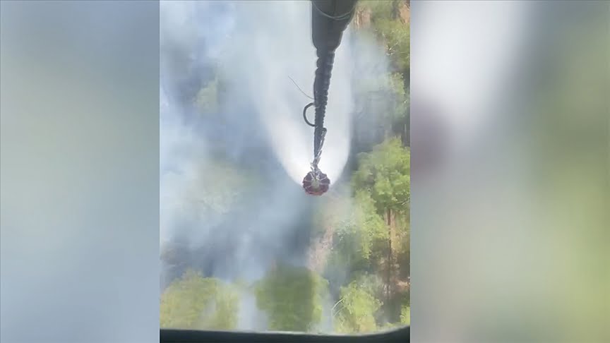 Bursa’da çıkan orman yangını kontrol altına alındı