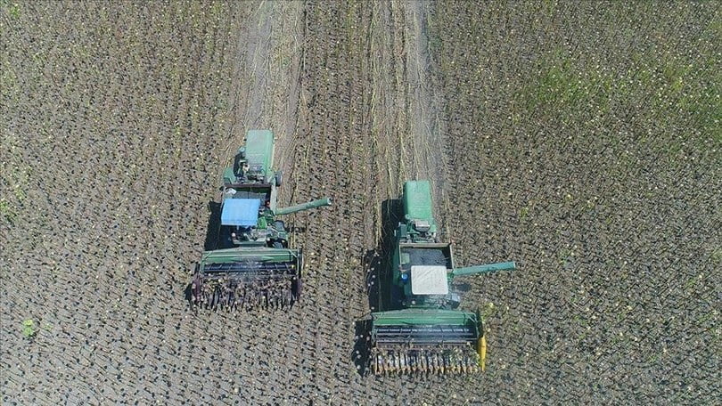 Trakya’da yağlık ayçiçeği desteğinin artırılması üreticileri sevindirdi