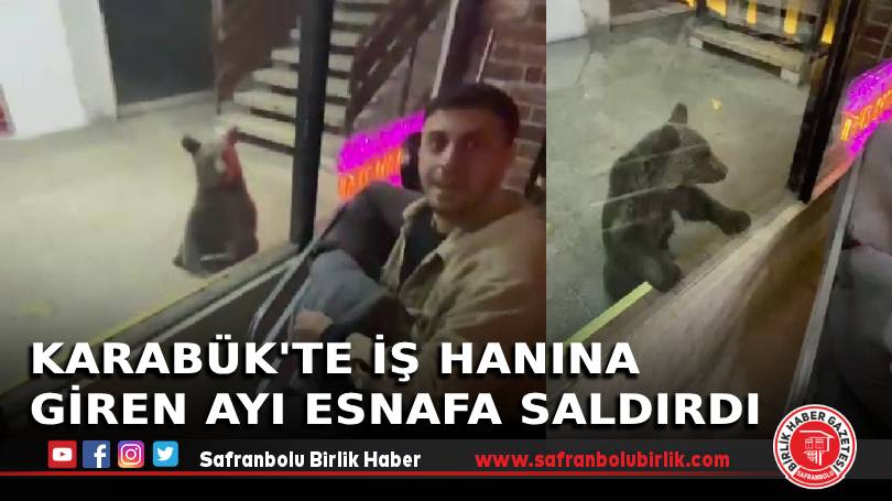 Karabük’te iş hanına giren ayı esnafa saldırdı
