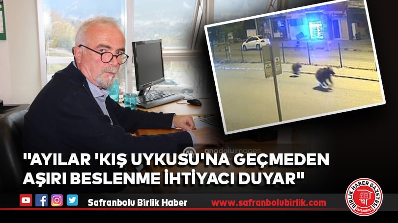 “Ayıların ormanda tutulması, yaban hayatının yönetilmesi ve ayı yönetim planının çıkarılması gerekiyor”