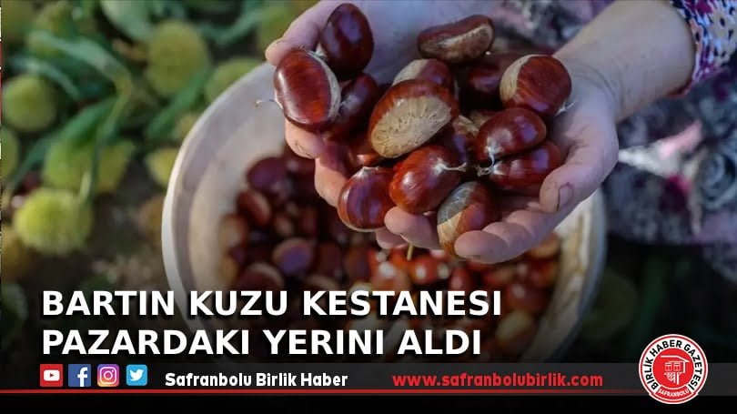 Bartın Kuzu Kestanesi Pazardaki Yerini Aldı