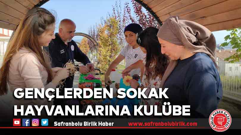 Gençlerden sokak hayvanlarına kulübe