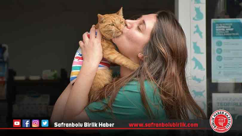Veteriner hekim tedavi ederek hayata bağladığı kediyi sahiplendi