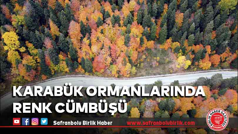 Karabük Ormanlarında Renk Cümbüşü