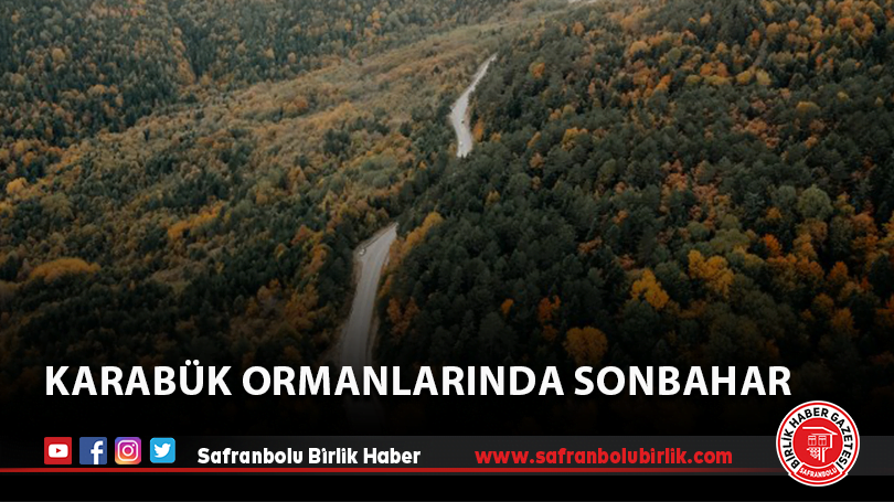 Karabük Ormanlarında Sonbahar