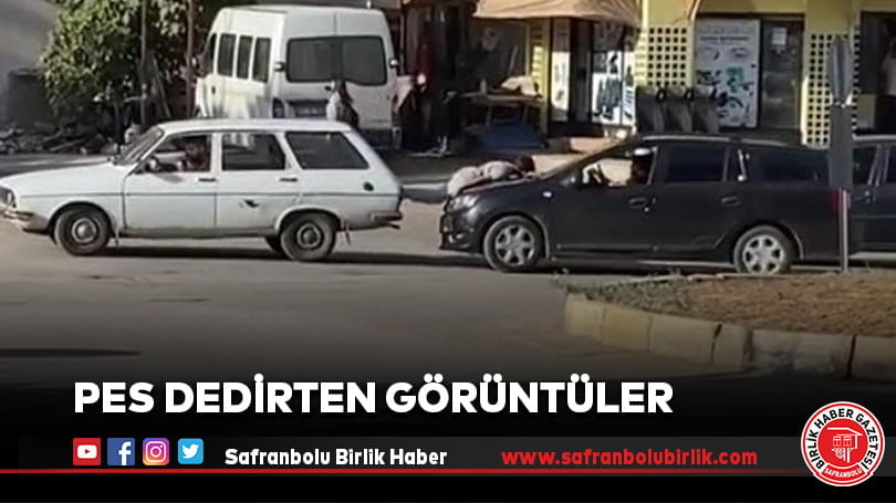 Pes dedirten görüntüler