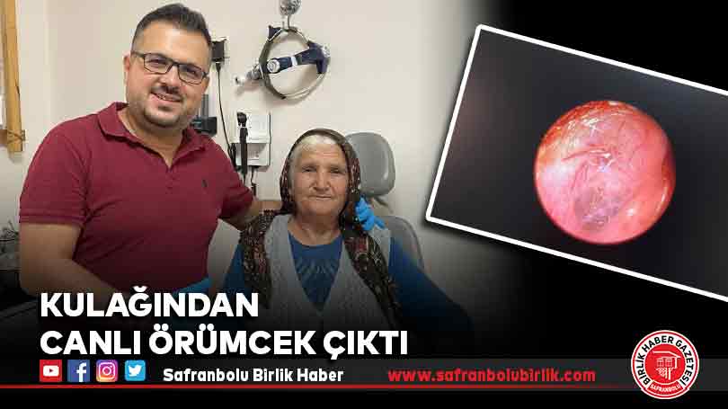 Kulağından canlı örümcek çıktı