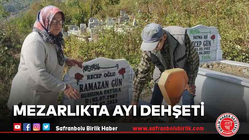 Mezarlıkta ayı dehşeti