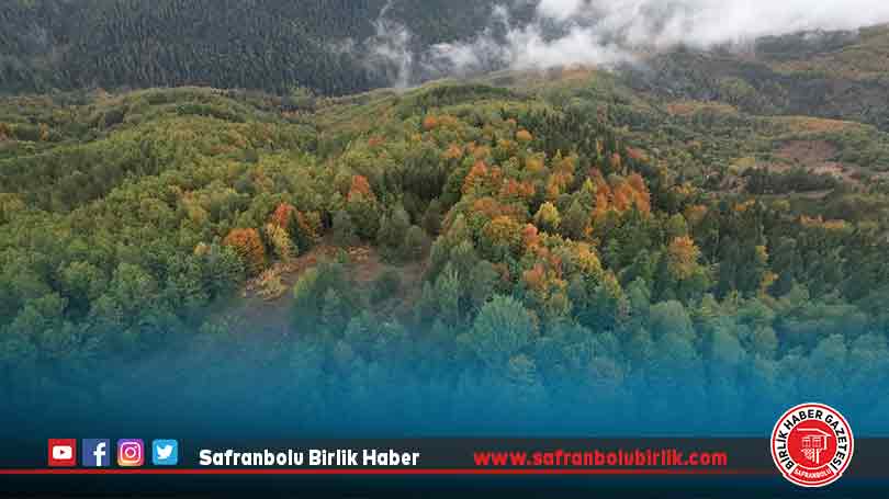 Ormanlarıyla öne çıkan Kastamonu sonbahar renklerine bürünmeye başladı