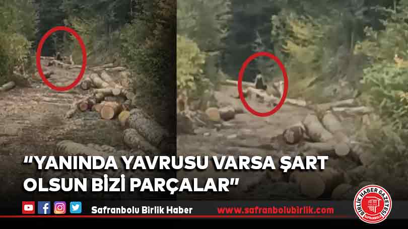 “Yanında yavrusu varsa şart olsun bizi parçalar”