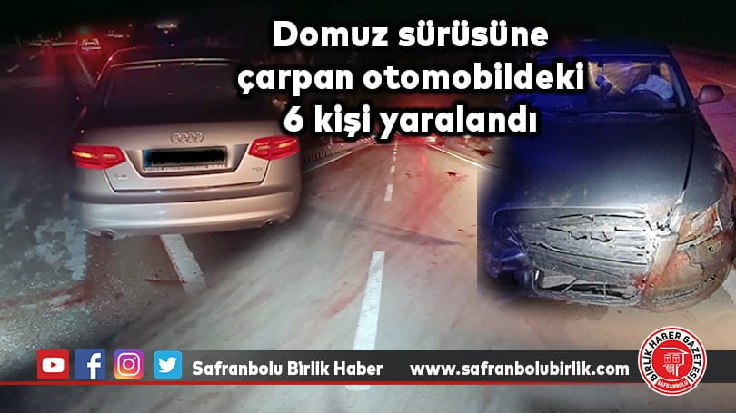 Domuz sürüsüne çarpan otomobildeki 6 kişi yaralandı