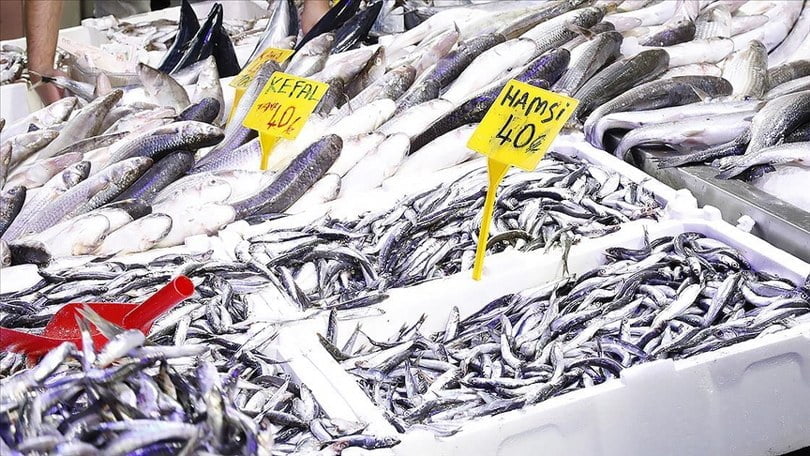 Samsun’da hamsinin kilogram fiyatı 40 liraya kadar geriledi