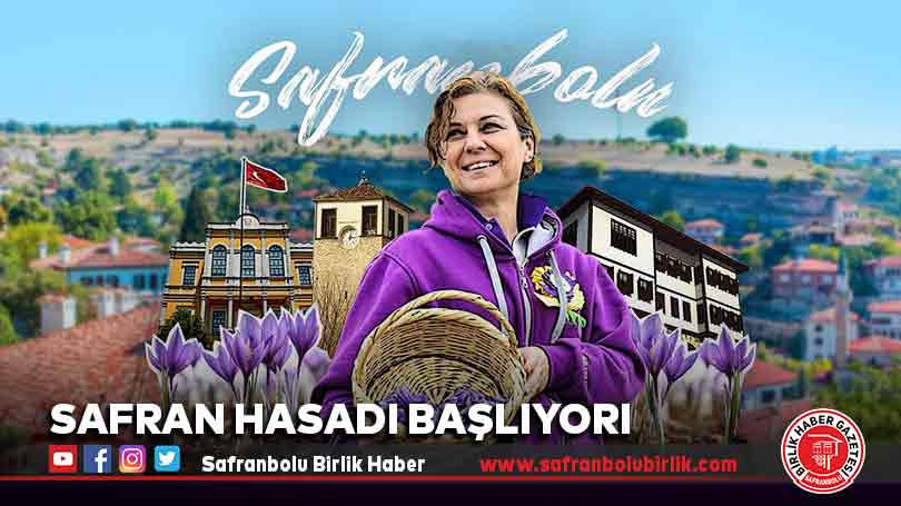 Safran Hasadı Başlıyor