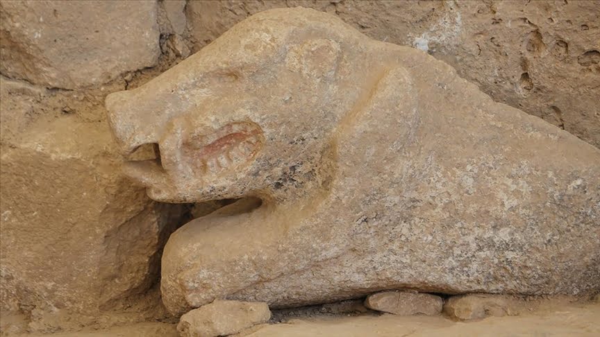Göbeklitepe’de bulunan yaban domuzu heykeli AA ekibince görüntülendi