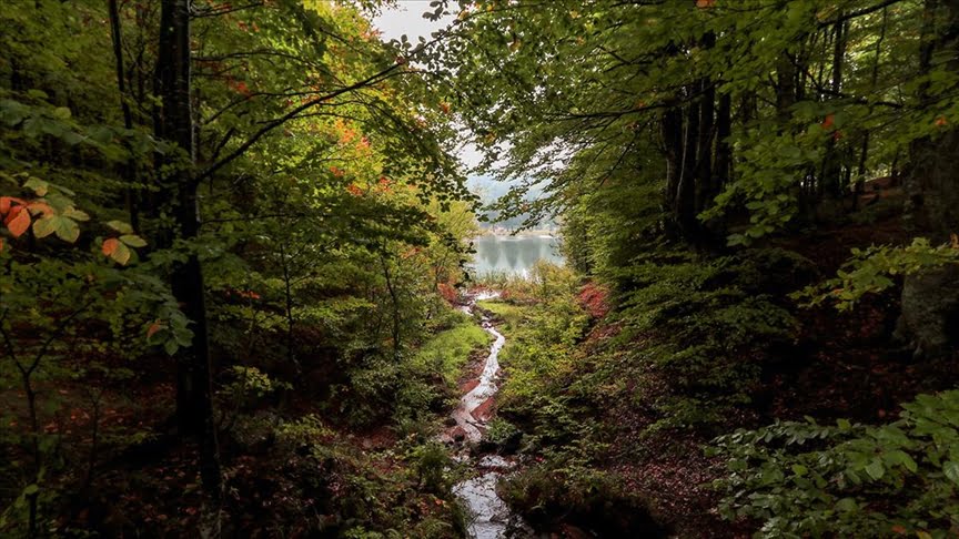 Domaniç Dağları sararan ilk yapraklarla sonbahara girdi