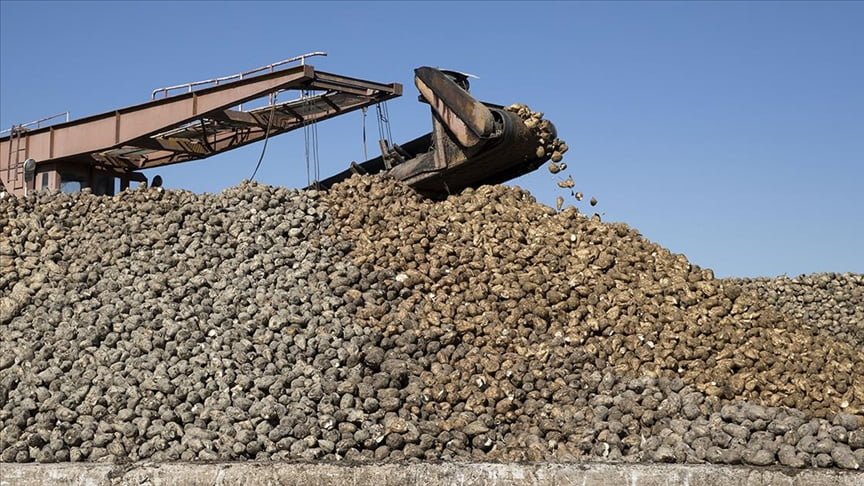 Şeker Üretimi Ülke İhtiyacını Karşılayacak Seviyede