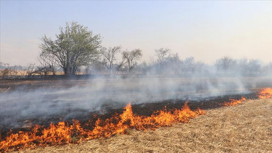 Anız yakmak toprağa zarar veriyor