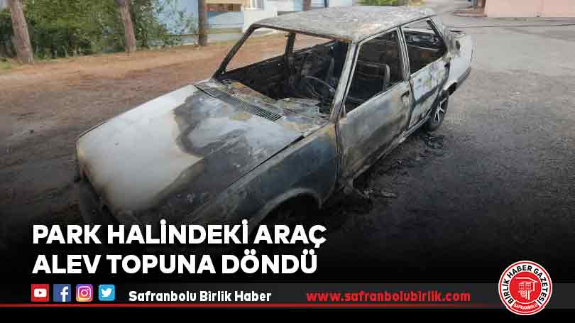 Park halindeki araç alev topuna döndü
