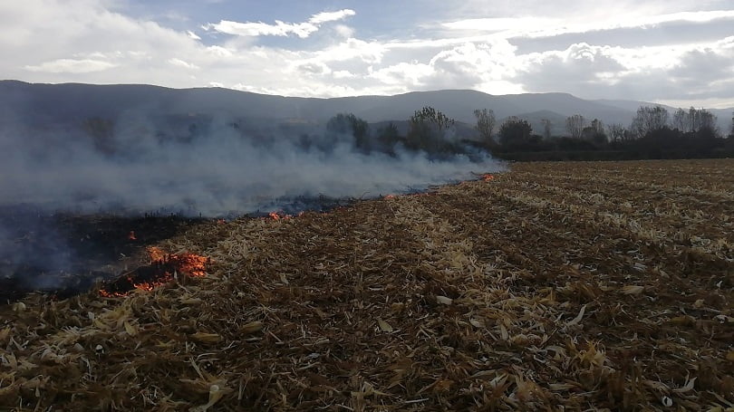 Anız ateşi, itfaiyeyi seferber etti