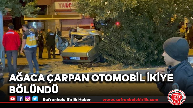 Ağaca çarpan otomobil ikiye bölündü