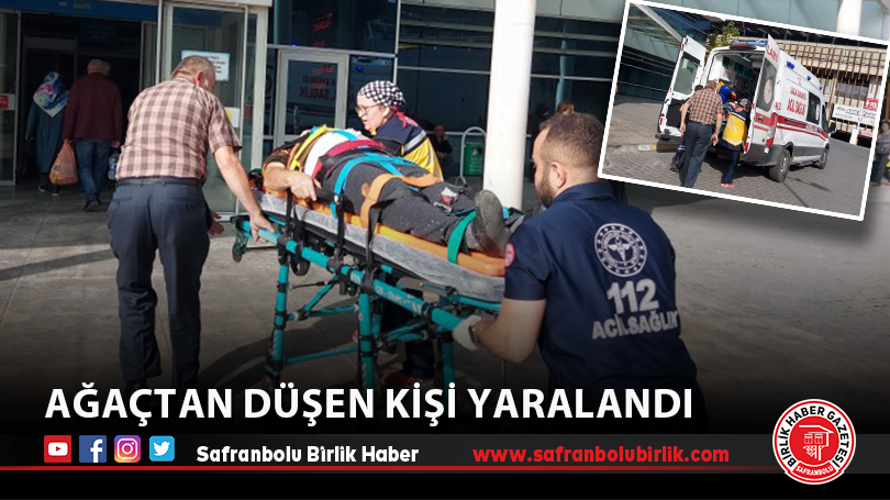 Ağaçtan düşen kişi yaralandı