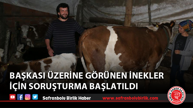 Başkası üzerine görünen inekler için soruşturma başlatıldı