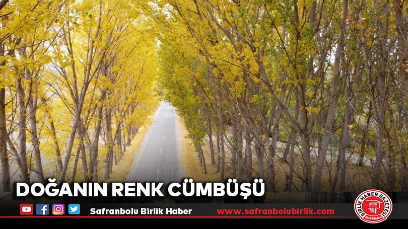 Doğanın renk cümbüşü mest etti