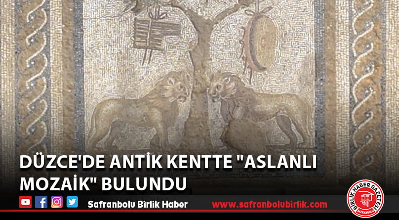 Düzce’de antik kentte “aslanlı mozaik” bulundu
