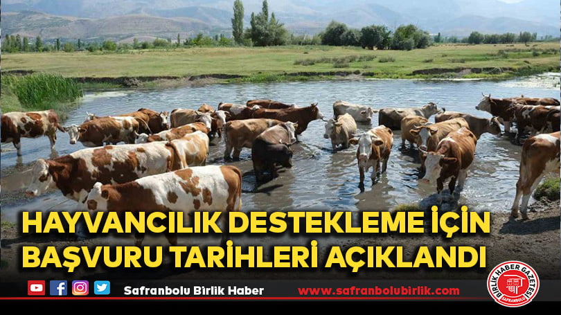 Hayvancılık destekleme için başvuru tarihleri açıklandı