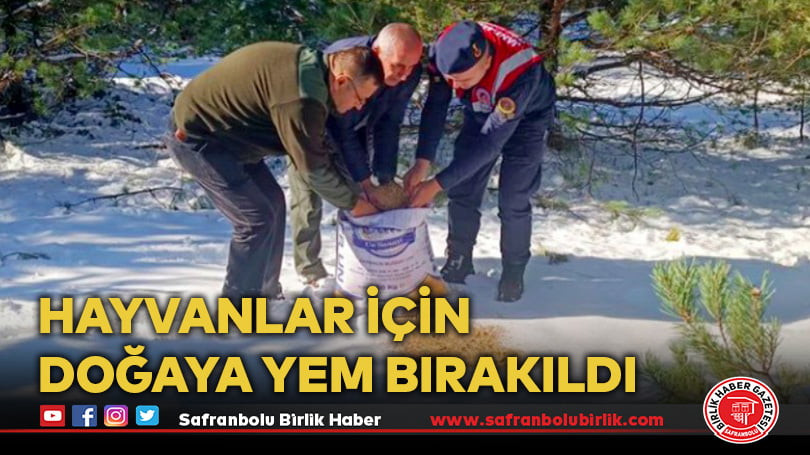 Hayvanlar için doğaya yem bırakıldı