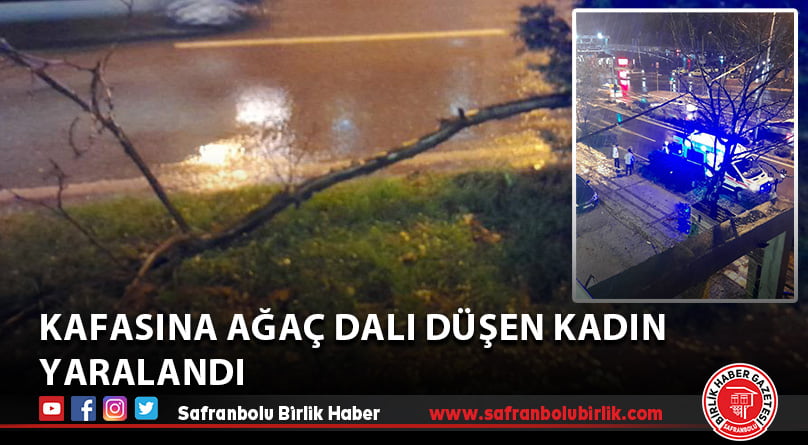 Kafasına ağaç dalı düşen kadın yaralandı