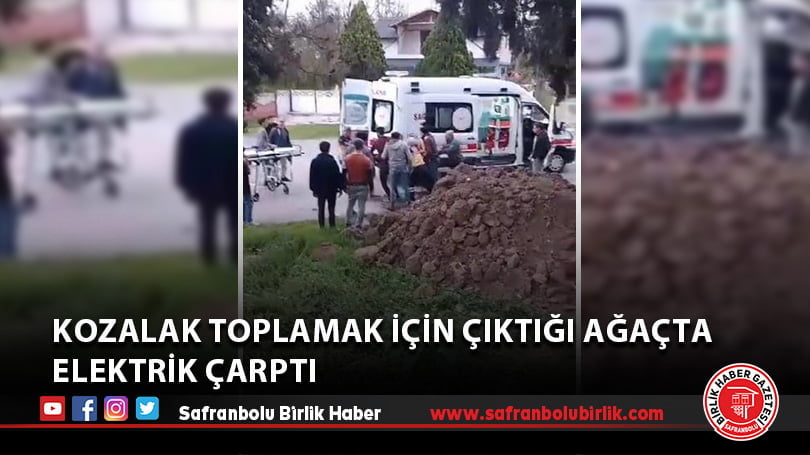 Kozalak toplamak için çıktığı ağaçta elektrik çarptı