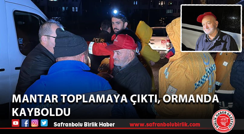 Mantar toplamaya çıktı, ormanda kayboldu