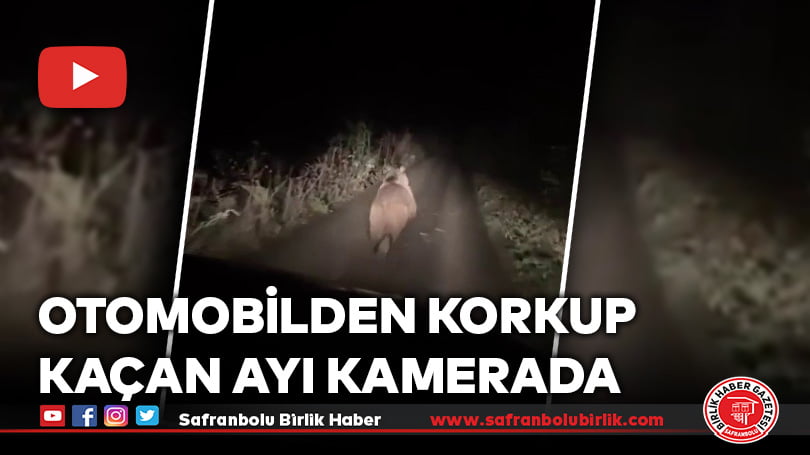 Otomobilden korkup kaçan ayı kamerada