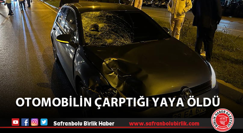 Otomobilin çarptığı yaya öldü
