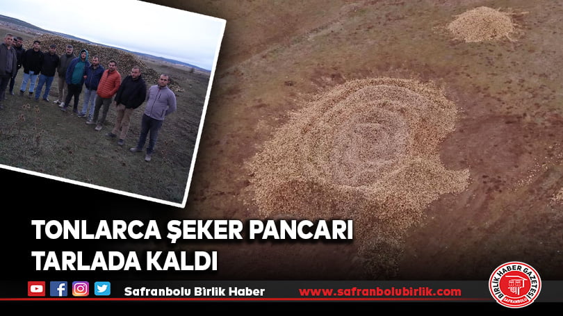 Tonlarca şeker pancarı tarlada kaldı