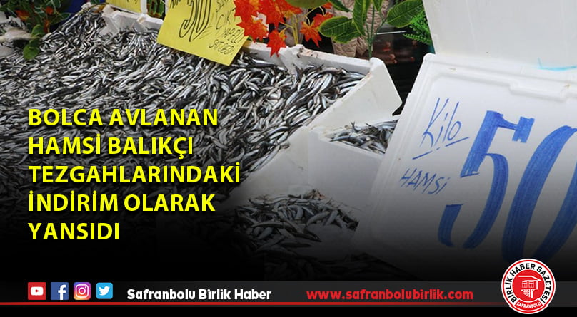 Bolca avlanan hamsi balıkçı tezgahlarındaki fiyat etiketlerine indirim olarak yansıdı