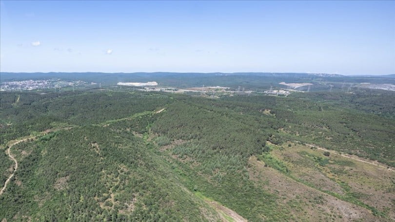 Selin önlenmesi için şehirlerde “yeşil alanlar” artırılmalı