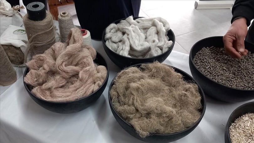 Samsun’da kenevir işleyecek fabrika tanıtıldı