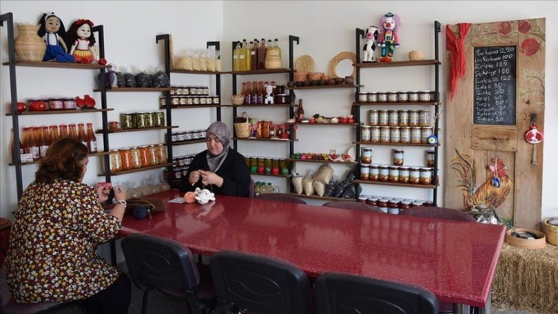 Kurdukları kooperatifle hayallerini gerçekleştirdi