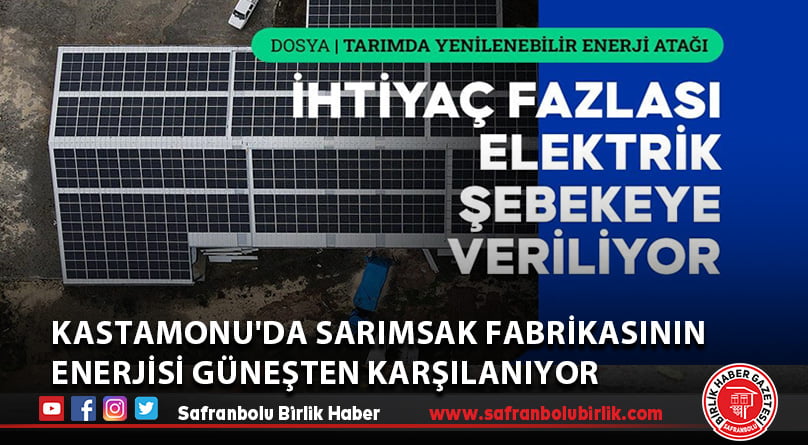 Kastamonu’da sarımsak fabrikasının enerjisi güneşten karşılanıyor