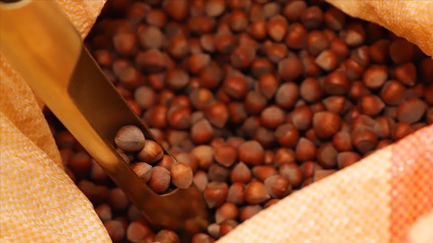 Türkiye’den iki ayda 358 milyon dolarlık fındık ihracatı gerçekleştirildi