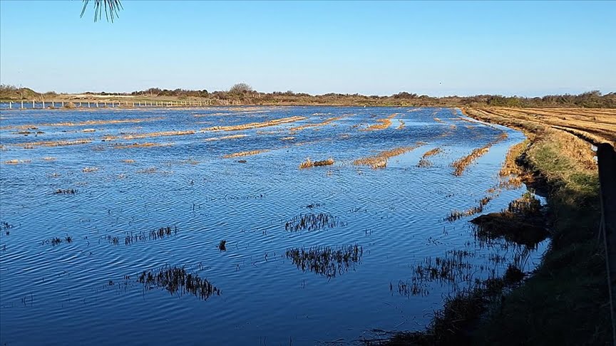 Samsun’da denizdeki fırtına tarım alanlarını sular altında bıraktı